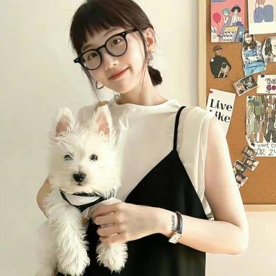 汪汪队立大功第三季